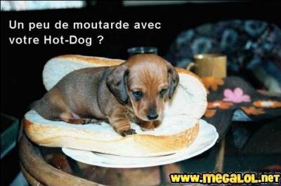 delicieux hot-dog
